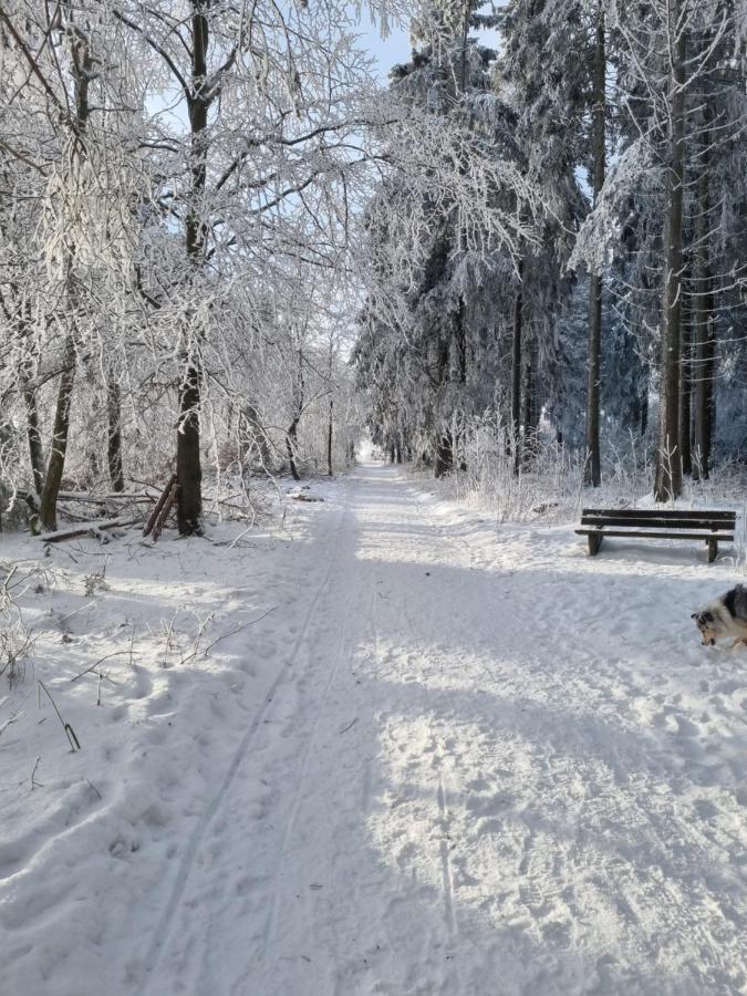 Ferienwohnung Schanzenblick Winterberg Esterno foto